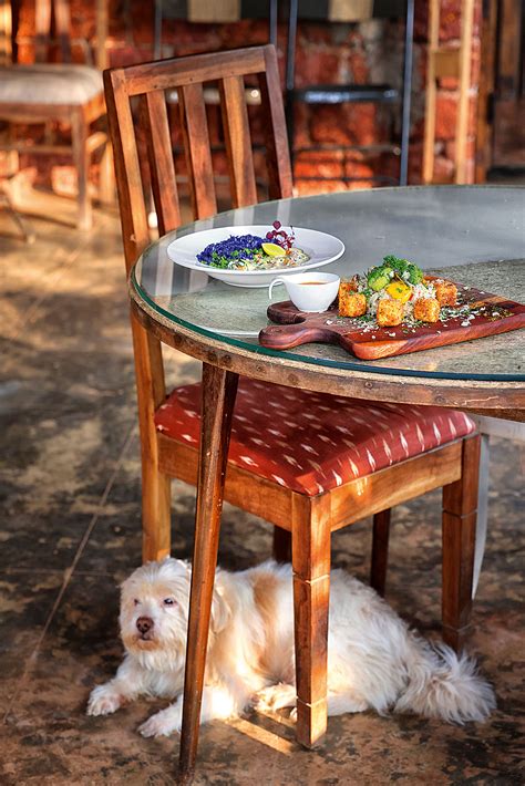 A vegetarian’s guide to Goa | Condé Nast Traveller India | Magazine