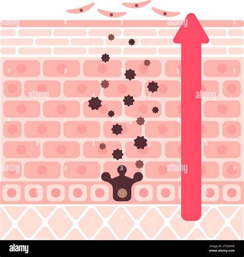 Rezultat imagine pentru Normal Vector