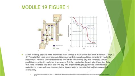 Image result for Unit 6 Lesson 19 Code.org