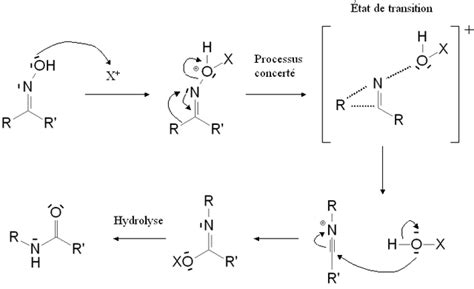 Image result for Commenting Inside Function Coding Standards