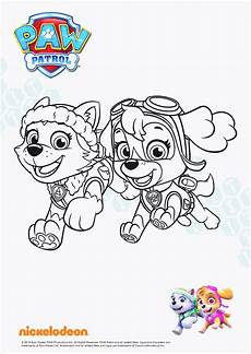 malvorlagen paw patrol sky paw patrol kleurplaat paw patrol rocky malvorlagen paw patrol sky paw patrol kleurplaat paw patrol rocky