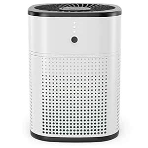 Air Purifier for Home Bedroom, 5-Stage Filtration with H13 HEPA Filter ...