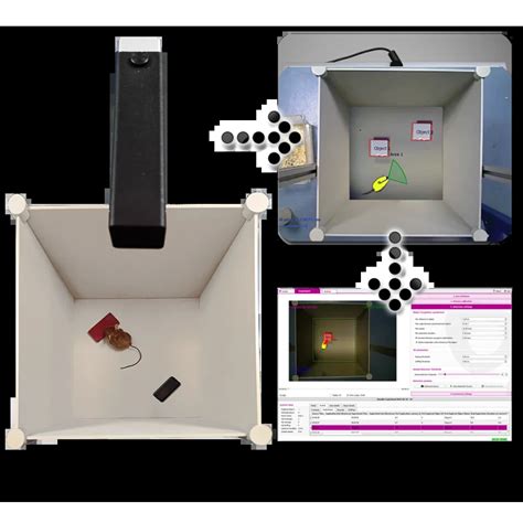 Image result for Object Learning Test