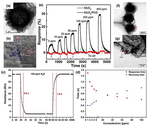 Accelerating the Gas–Solid Interactions for Conductometric Gas Sensors ...