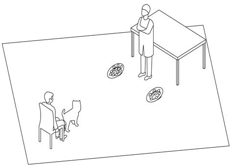 Do Domestic Dogs (Canis lupus familiaris) Perceive Numerosity Illusions?