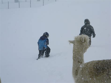 Let the Snow Come Down - Just Me Kate