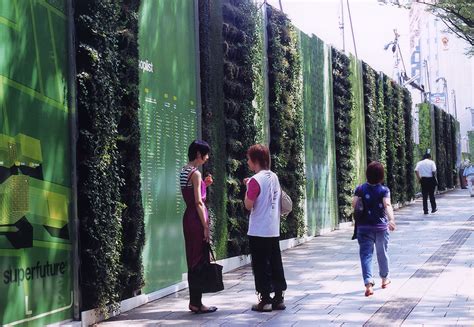 Building Green Screen 的图像结果