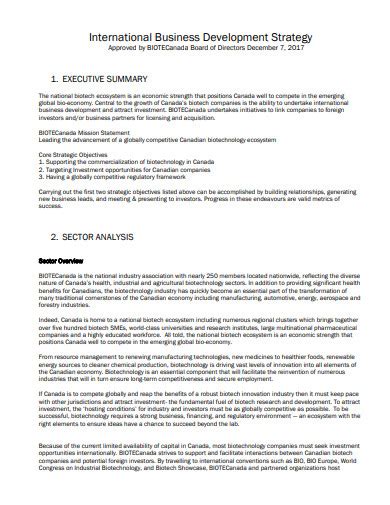 Image result for Business Development Strategy Process