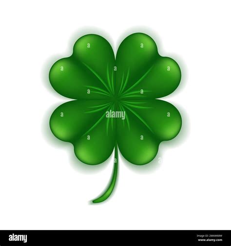 Green clover leaf isolated on white background. Four leaf clover 3d ...