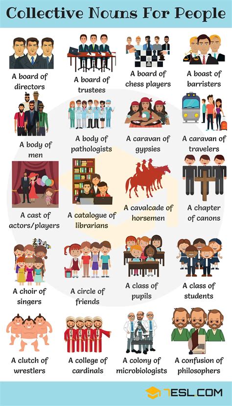 Collective Noun: Definition, List & Examples of Collective Nouns in ...