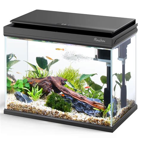 5 Gallon Glass Aquarium 5 Gallon Aquaculture Aquarium Kit Review