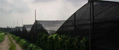 Image result for WindBreak Cladding Mesh