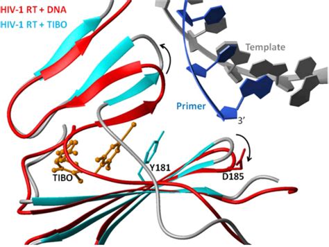 Viruses | Special Issue : Retroviral Enzymes