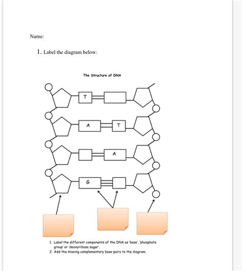 DNA Label 的图像结果
