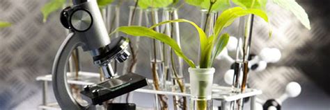 International Journal of Research In Phytochemical And Pharmacological ...