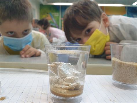 A Teacher's Guide to a Successful Science Fair - Inbal's science fun