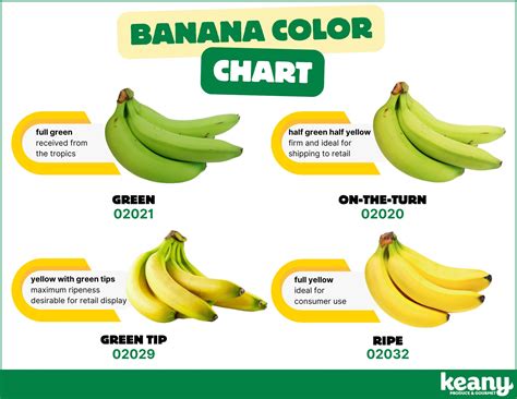 Banana Ripening Chart: A Guide to Banana Types and Benefits