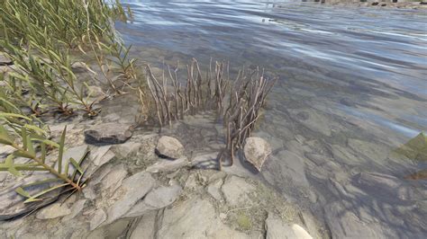 Image result for Rust Fish Trap Guide