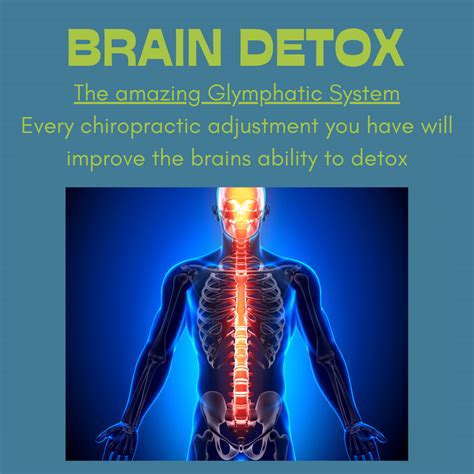 Brain Detox importance: The Glymphatic System explained