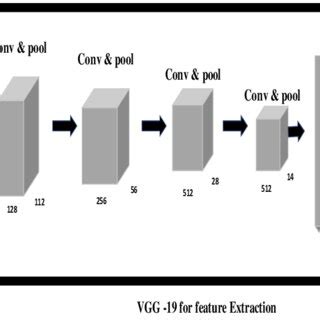 Classification Structure 的图像结果
