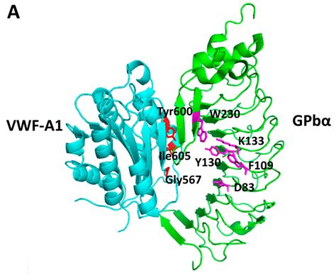 Surfing the Protein-Protein Interaction Surface Using Docking Methods ...