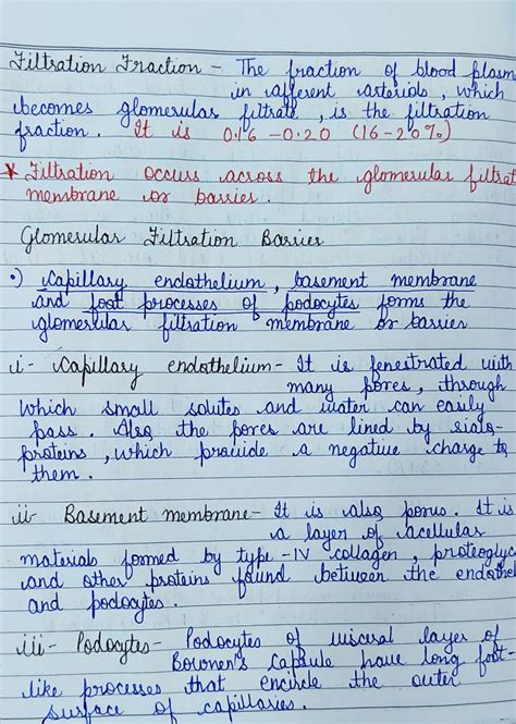 SOLUTION: Urine formation notes Urine formation Urine formation mechanism - Studypool