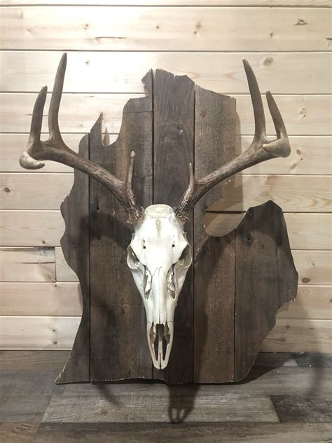 Unique European Deer Mounts