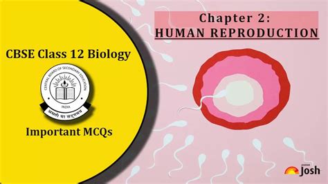 Image result for Bio Chap 20 Reproduction Class 12