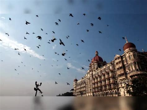 Indian Hotels - Defying market weakness, 12 stocks are nearing their 52 ...