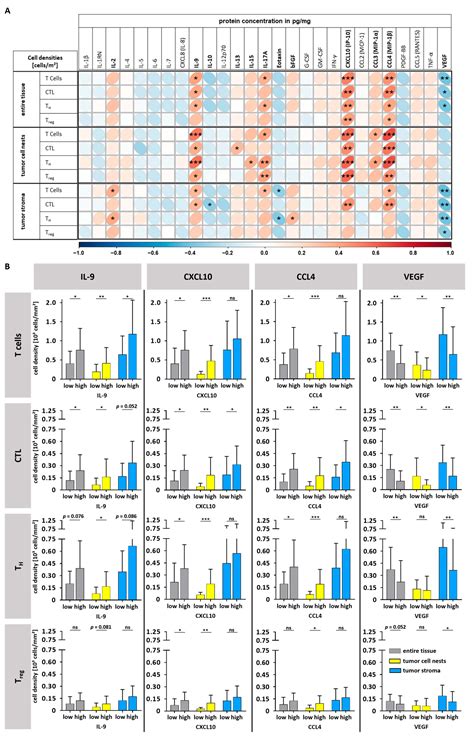 Spatial Distribution and Prognostic Value of T Cell Subtypes and Immune ...