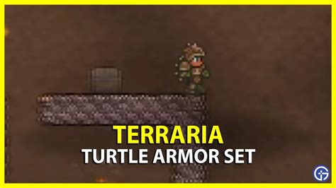 Image result for Turtle Shell Armour