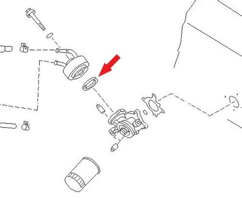 Factory Oil Cooler Modene Filter Housing O-Ring Seal | Ubuy India