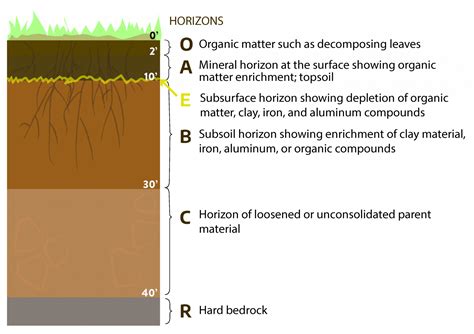 Chapter 2: Soils and Nutrient Management – Virginia Cooperative ...