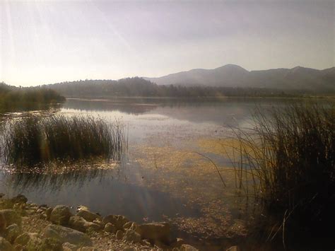 Alcoholics Anonymous | Daily Divorce Meditations