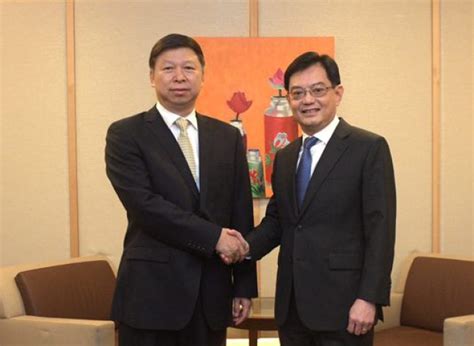 宋涛会见新加坡人民行动党第一助理秘书长、政府财政部长王瑞杰