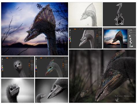 Future Animals Evolution 的图像结果