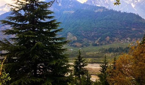 Jogini Waterfall Trek - Book Now @ Rs.1350 (9% off)