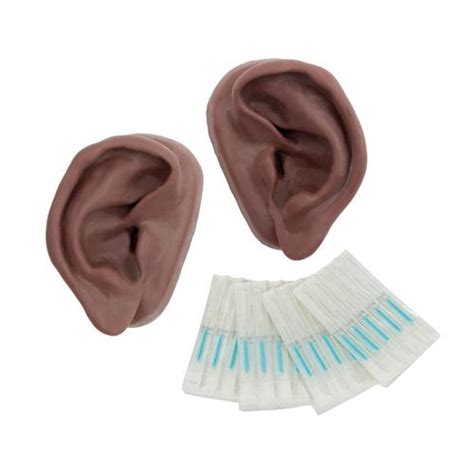 Acupuncture Ears, Set for 10 Students, dark skin | 1024486 | 3B ...