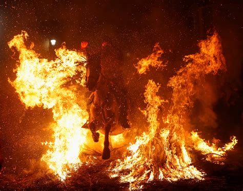 Horses jump through bonfires in Spanish purification ceremony | New ...