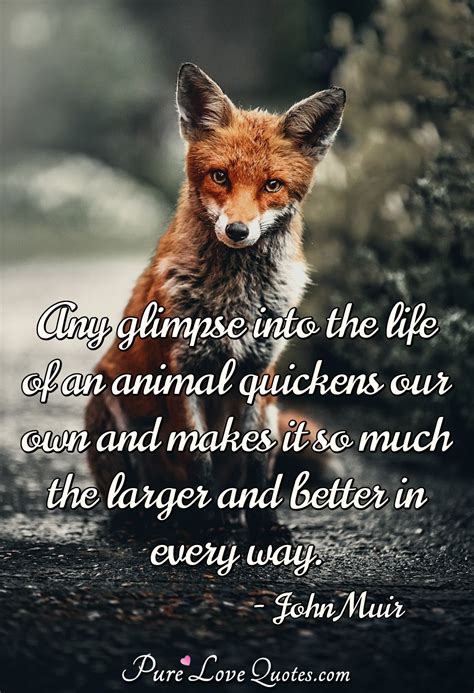 Animal Quotes