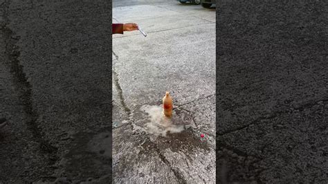 Funniest Explosions 的图像结果