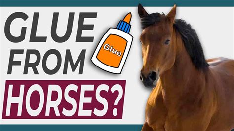 Elmer's Glue Horse Logo at Nichelle Hock blog