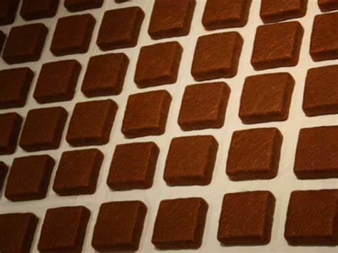 Alice Anderson's Timescale | Meer