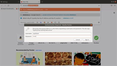 Image result for Squid Proxy Server Tutorial