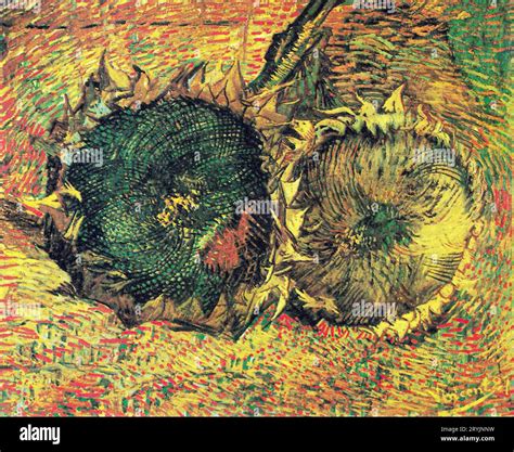 Vincent van gogh's sunflowers 1887 hi-res stock photography and images ...