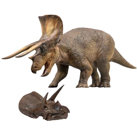 Buy PNSO Dinosaur Museums Series:New Doyle The Triceratops 1:35 ...