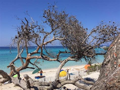 DOMAINE ST JOSEPH (Casta) - Lodging Reviews & Photos - Tripadvisor