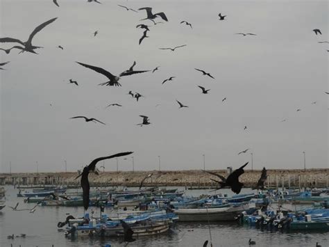 Salinas Images - Vacation Pictures of Salinas, Santa Elena Province ...