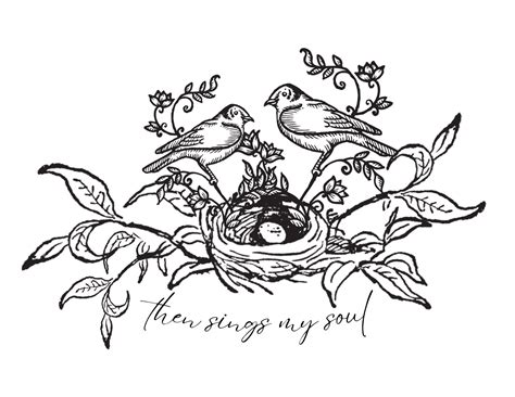 Printable Bird Nest Pictures at Wendy Noland blog