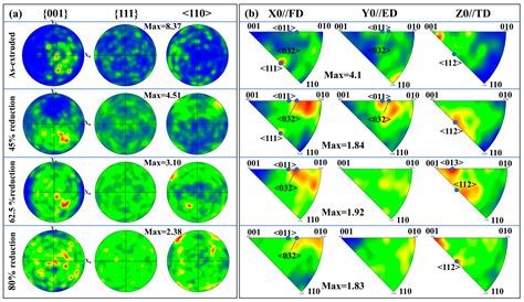 Microstructure Evolution of Extruded TiAl Alloy During Vacuum ...